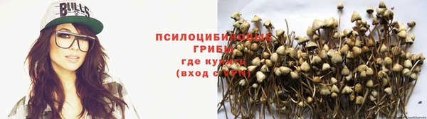 эйфоретик Каменск-Шахтинский